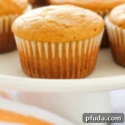Easy Pumpkin Muffins made with Bisquick