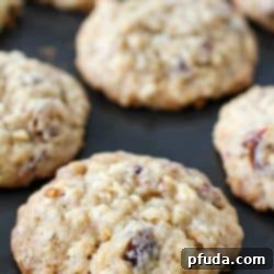 Homemade Soft and Chewy Oatmeal Date Cookies 2 Soft and Chewy Oatmeal Date Cookies, showcasing the delicious texture and ingredients.