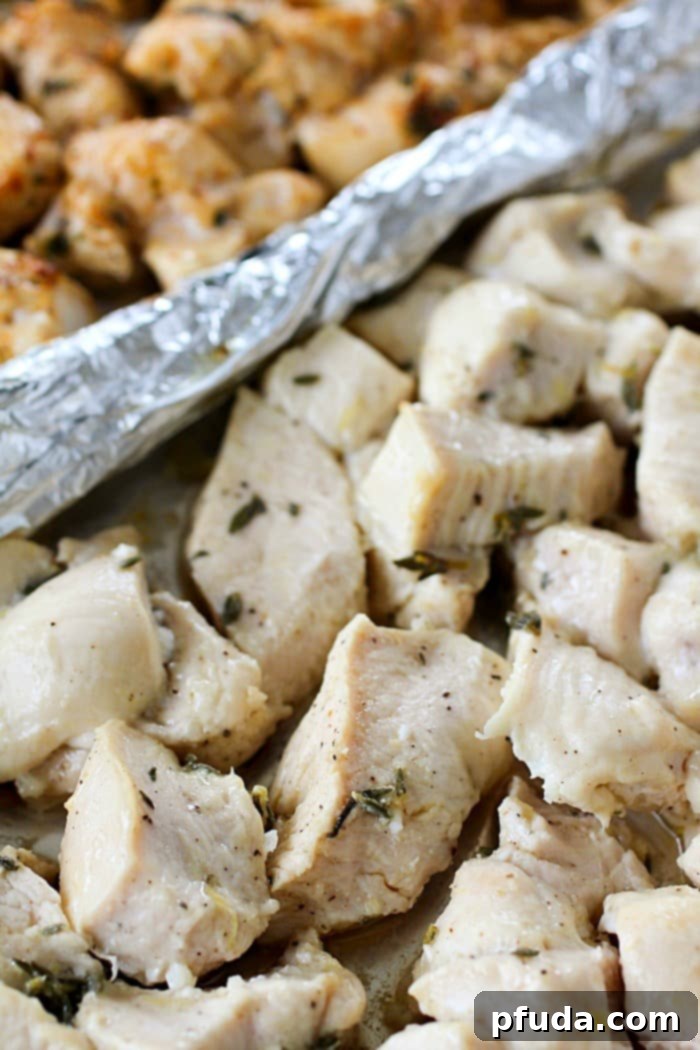 Southwestern Chicken Marinade