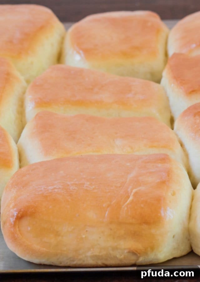 Soft and fluffy Texas Roadhouse Rolls with sweet honey cinnamon butter.
