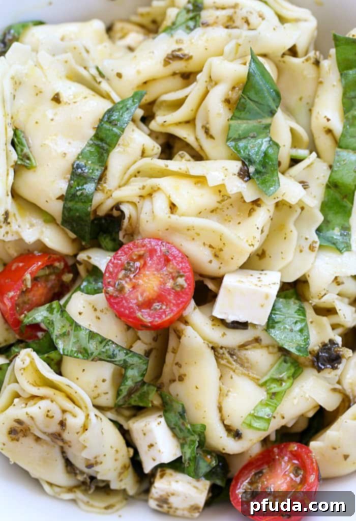 This Easy Tortellini Pesto Salad is the perfect side dish for a BBQ or potluck!