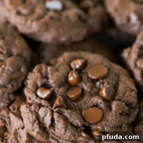 Super Simple Four Ingredient Chocolate Cookies 2 Easy Chocolate Cookies Recipe