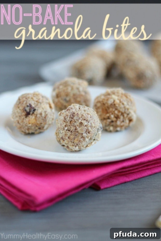 No-Bake Granola Bites Recipe Homemade No-Bake Granola Bites for quick snacks