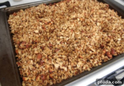 Freshly baked golden brown granola on a cookie sheet