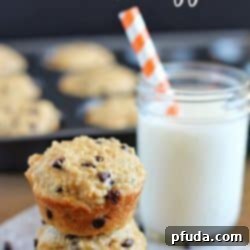 Wholesome Quinoa Muffins 2 Chocolate Chip Quinoa Muffins - a delicious and healthy recipe