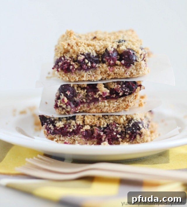 Skinny Blueberry Crumble Bars - a light crust, a layer of blueberries and a crumble topping. Delicious and perfect for breakfast or a healthy snack.