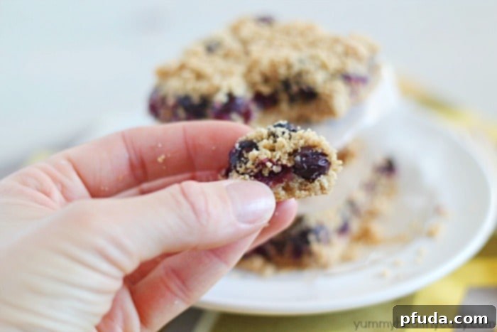 Skinny Blueberry Crumble Bars - a light crust, a layer of blueberries and a crumble topping. Delicious and wholesome, perfect for any time of day.