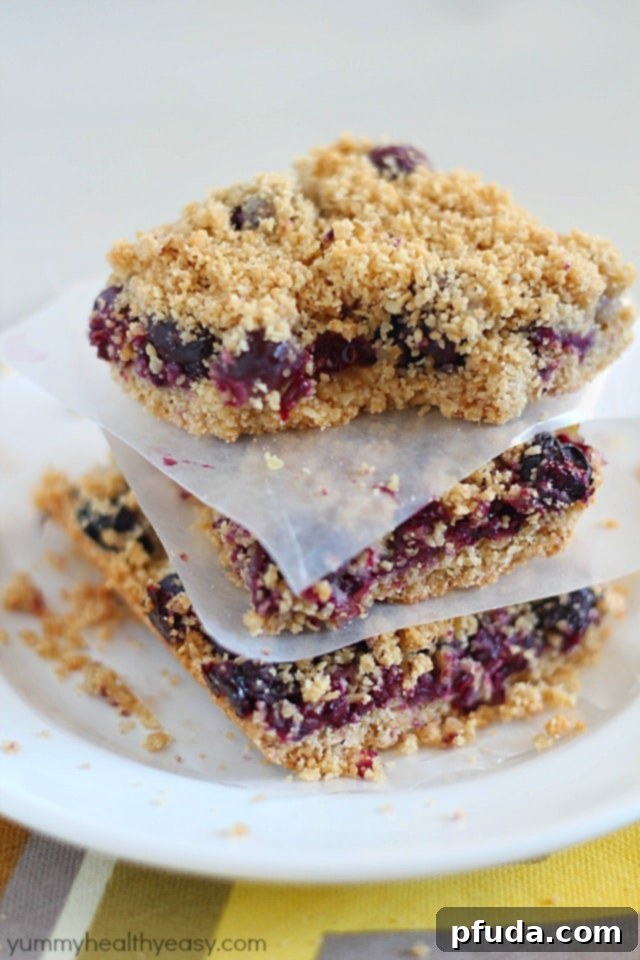Skinny Blueberry Crumble Bars - a light crust, a layer of blueberries and a crumble topping. A healthy and delicious option for breakfast or a sweet treat.