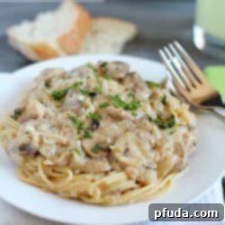 A beautifully plated bowl of creamy Chicken Tetrazzini, garnished with fresh parsley.