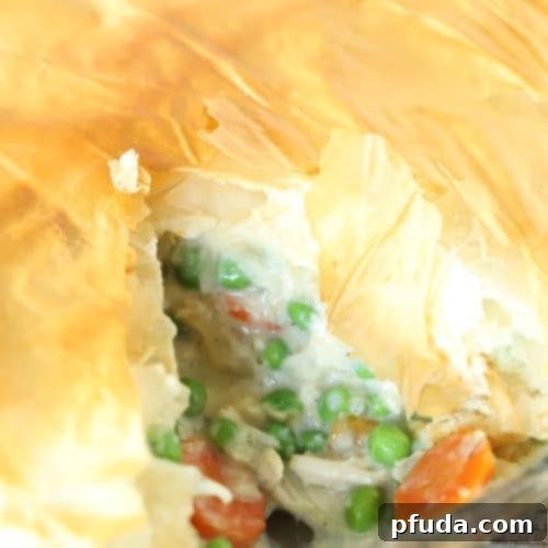 Pie dish with a lighter chicken pot pie inside.