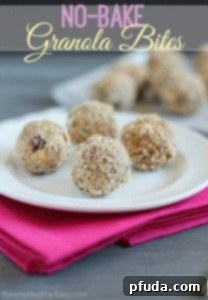 No-Bake Granola Bites No-Bake Granola Bites recipe thumbnail