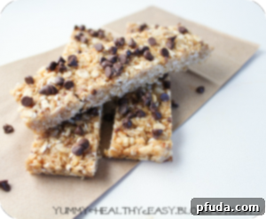 Chewy No-Bake Chocolate Chip Granola Bars Chewy No-Bake Chocolate Chip Granola Bars recipe thumbnail