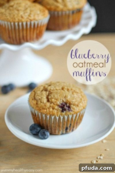 Blueberry Oatmeal Muffins A stack of golden-brown Blueberry Oatmeal Muffins with a crumbly topping on a white plate.
