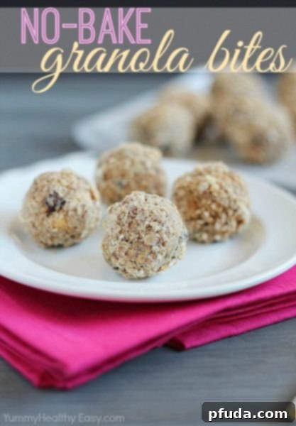 Golden Oat Coffee Crumble 3 A bowl filled with wholesome No-Bake Granola Bites, a perfect healthy snack option.
