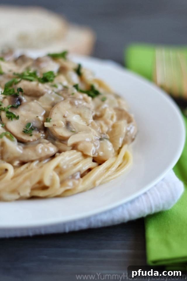 Classic creamy chicken tetrazzini baked to golden perfection, a comforting casserole for family meals.