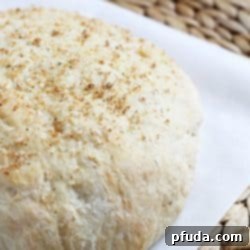 Simple Homesteader's Loaf 2 Easy No-Knead Peasant Bread recipe card image