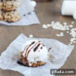 Chewy Oatmeal Smores Cookies 2 Moist and chewy oatmeal cookies with graham crackers and chocolate pieces inside and an ooey gooey marshmallow cooked on the top!