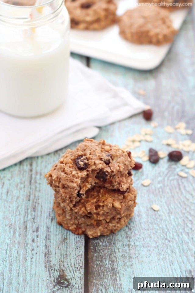 Healthy Banana Oatmeal Breakfast Cookies - SO easy to make, have no butter or oil, and have only 165 calories in each cookie + 6g of protein!