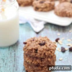 Healthy Banana Oatmeal Breakfast Cookies - SO easy to make, have no butter or oil, and have only 165 calories in each cookie + 6g of protein!