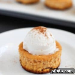 Pumpkin Patch Mini Cheesecake Giveaway 2 Delicious Mini Pumpkin Cheesecakes, perfect for a healthy fall dessert