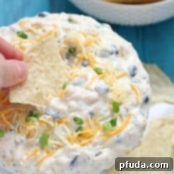 High Noon Fiesta Dip 2 Quick Southwest Dip that's perfect for whipping up when entertaining guests or to devour when watching your favorite TV show. Creamy ranch & southwestern flavors, corn, black beans and cheese - so delicious! #cadairy