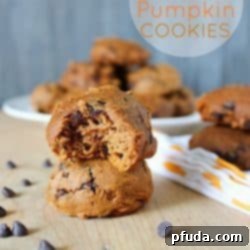 Low-Fat 3 Ingredient Pumpkin Chocolate Chip Cookies