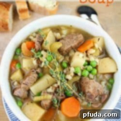 Vegetable Beef Barley Soup