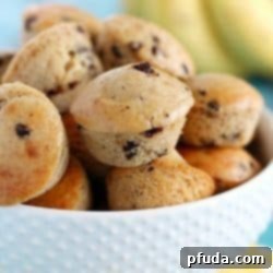 Banana Chocolate Chip Mini Muffins - a great breakfast to start your day or the perfect snack/dessert to satisfy your sweet tooth! (only 4 main ingredients!)
