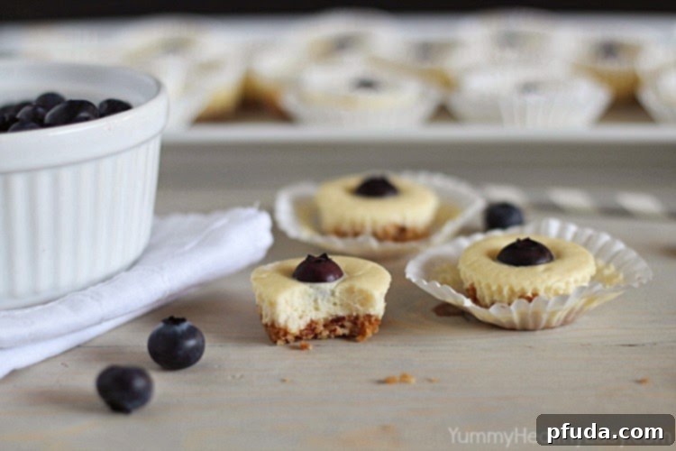 Skinny Blueberry Cheesecake Bites Skinny Blueberry Cheesecake Bites