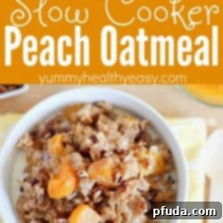 Slow Cooked Peach and Oat Delight 5 Delicious Slow Cooker Peach Oatmeal