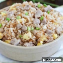 Easy 20-minute pork fried rice recipe card image, showcasing a quick and delicious family meal.