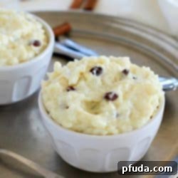 This delicious and creamy Eggnog Rice Pudding recipe will have you ready for the holidays! The textures in this rice pudding will wow your tastebuds. The rice is tender, the raisins are chewy and the pudding part is so creamy. Add in eggnog flavor and it's like heaven in your mouth. #AD