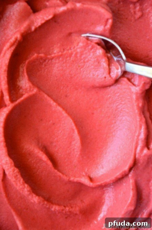 5 Minute Healthy Strawberry Frozen Yogurt, a quick light strawberry dessert
